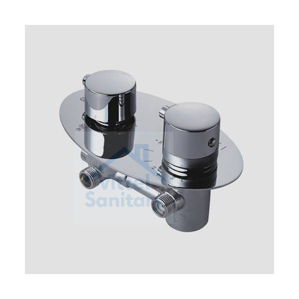 Thermostatic Faucet M201206