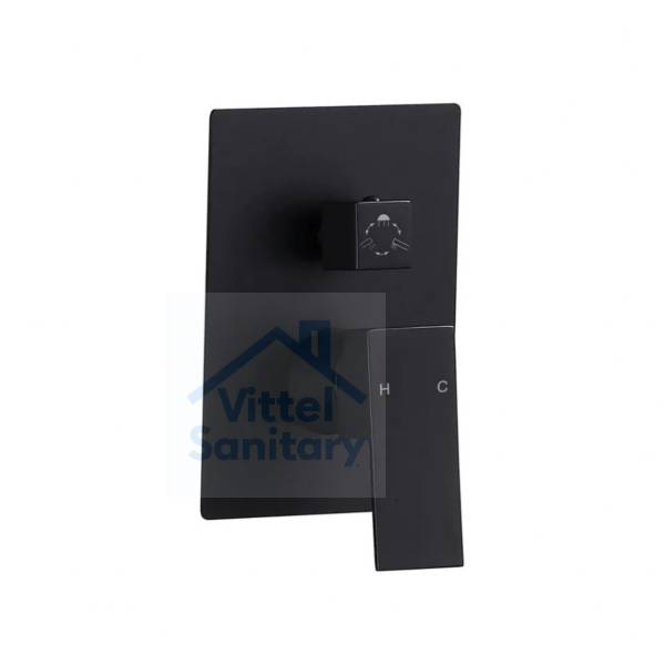 Concealed Shower Faucet C021446