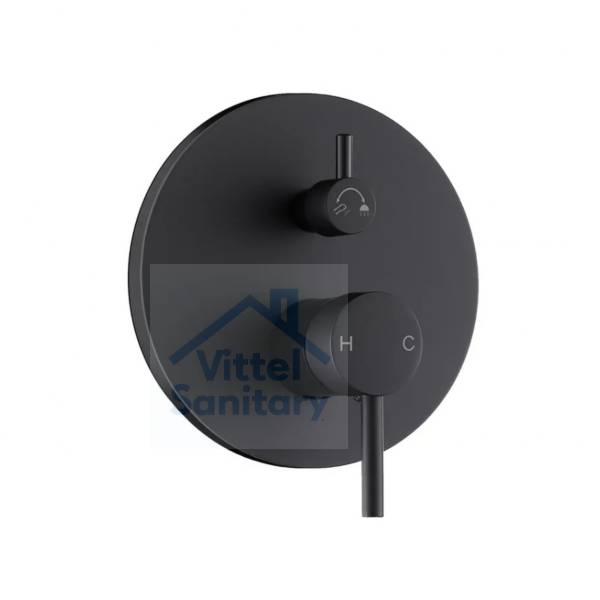 Concealed Shower Faucet C021448