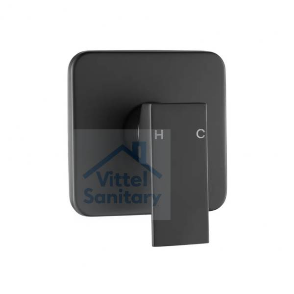 Concealed Shower Faucet C021450