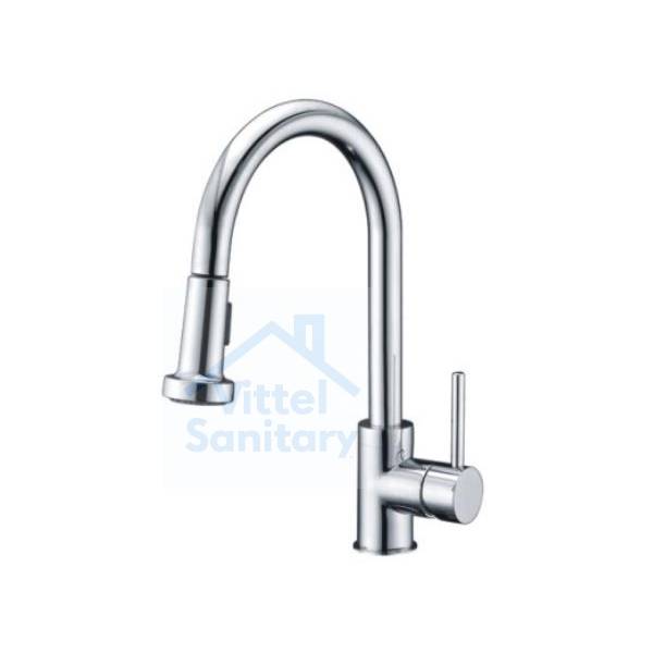 Kitchen Faucet C021645