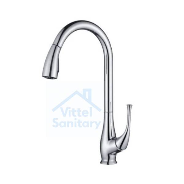 Kitchen Faucet C021646