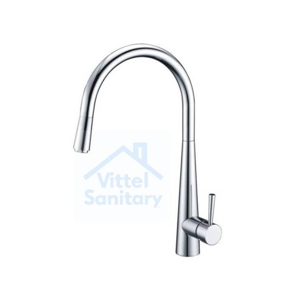 Kitchen Faucet C021648