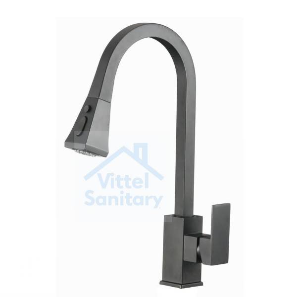 Kitchen Faucet C021649