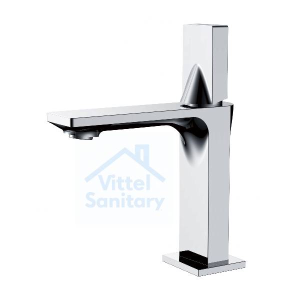 Basin Faucet C021670