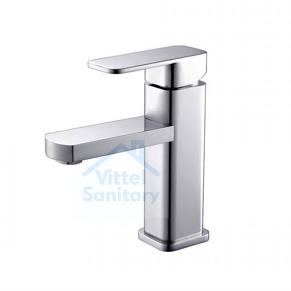 Basin Faucet C021698