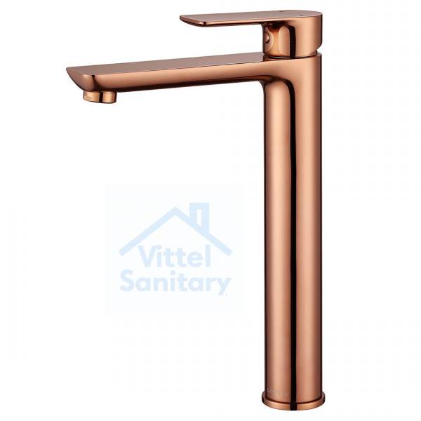 Basin Faucet C021710