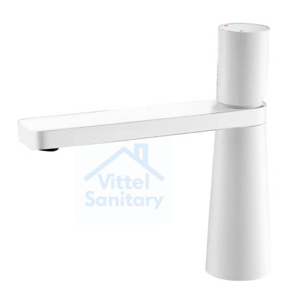 Basin Faucet C021712